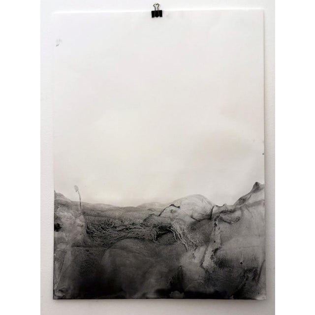 Early 21st Century Marilina Marchica, Landscape BW, Paper For Sale - Image 5 of 9