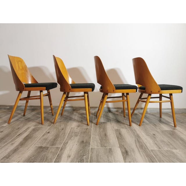 Dining Chairs by Radomir Hoffman for Ton, 1950s, Set of 4 For Sale - Image 5 of 18