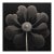 20' X 20' - 'Kalmia Augustifolia' Flower - Black and White Limited Edition Botanical Photography Print, Unframed For Sale