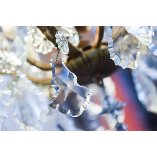 French Pampilles Chandelier in Glass For Sale - Image 4 of 11