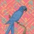 “Vine and Dandy” Hyacinth Macaw Blue Parrot Painting by Allison Cosmos For Sale