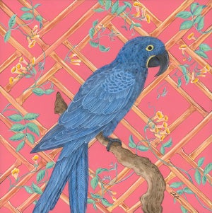 “Vine and Dandy” Hyacinth Macaw Blue Parrot Painting by Allison Cosmos