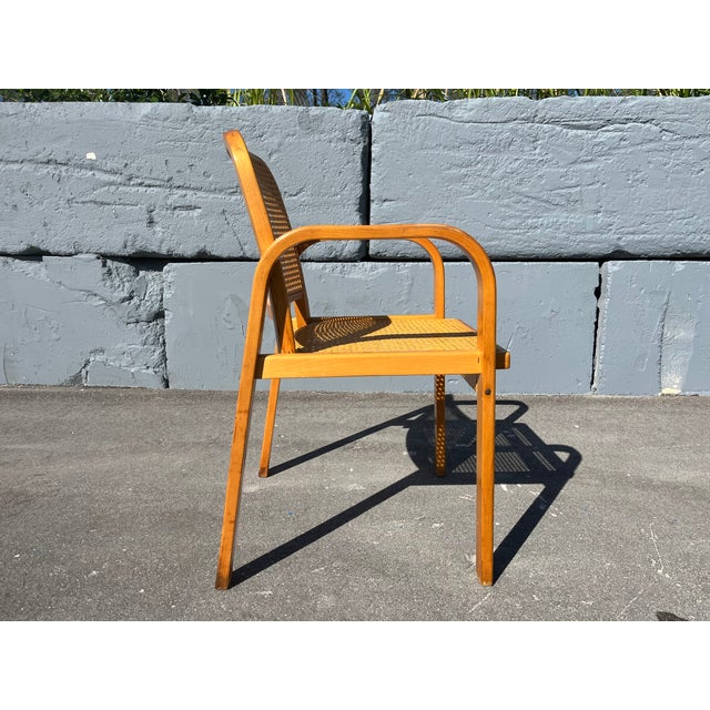 Bentwood and Cane Arm Chair, 1960 For Sale - Image 12 of 13