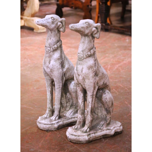 2010s Pair of Vintage French Outdoor Weathered Carved Stone Greyhound Dog Sculptures For Sale - Image 5 of 9