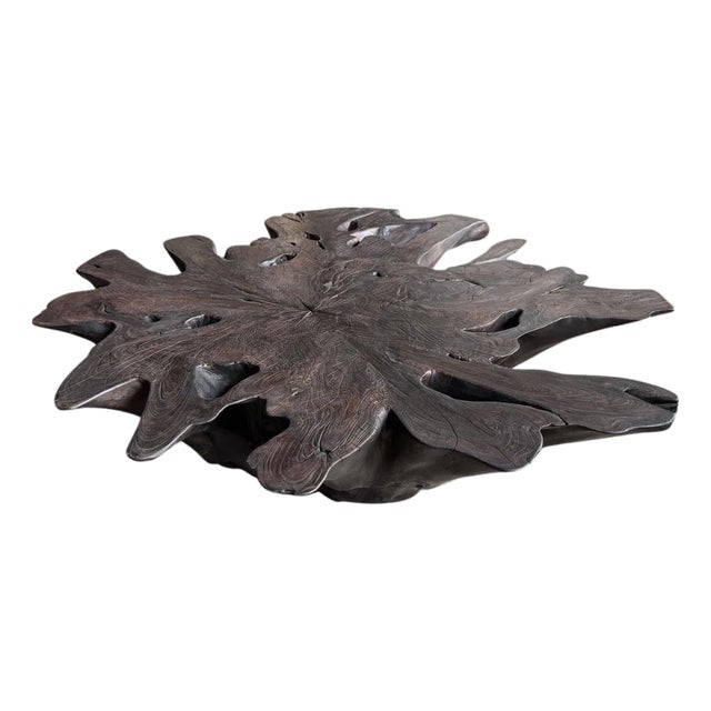Andrianna Shamaris Impressive Sculptural Teak Wood Root Coffee Table For Sale