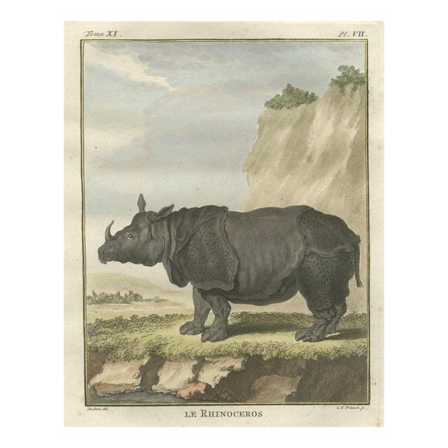After Jacques de Sève, Rhinoceros, 1769, Hand-Coloured Engraving For Sale