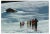 Slim Aarons, Skiers in Lech, Estate Stamped Photographic Print, 1979 / 2020s For Sale