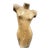 Late 20th Century Carved Solid Wood Female Torso Sculpture For Sale