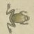 Bertuch, Four Tree Frogs Including a Blue Frog, 1815, Print For Sale - Image 6 of 12