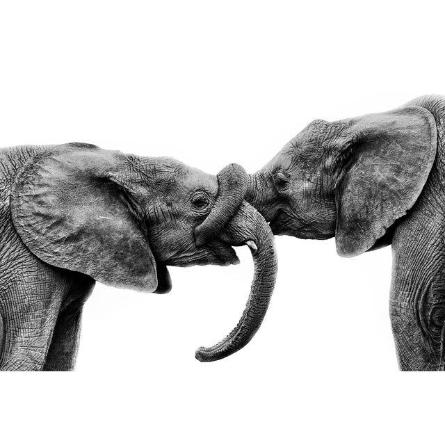 Katerina Christina "Love" Contemporary Photograph on Silver Metallic Canvas, Size 00 For Sale - Image 4 of 12