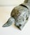 Mid 20th Century Chinese Tang-Style Stone Horse, Mid 20th Century For Sale - Image 5 of 11