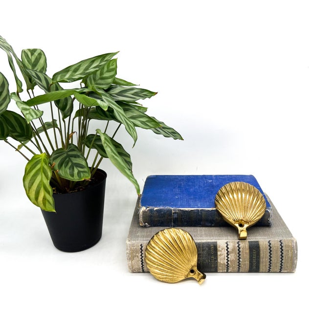 Charming pair of brass wall hooks featuring scallop shell forms with beautifully detailed ribbed surfaces and a warm...