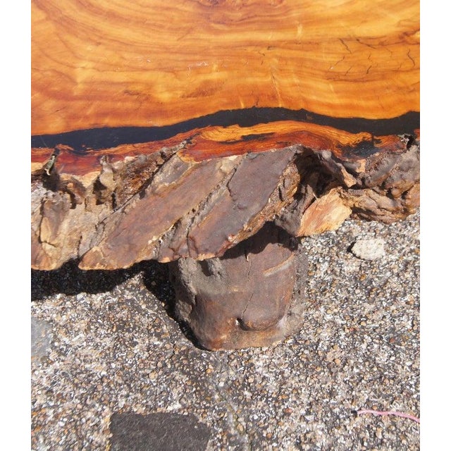 Early 20th Century 5ft Live Edge Redwood Coffee Table For Sale - Image 5 of 7