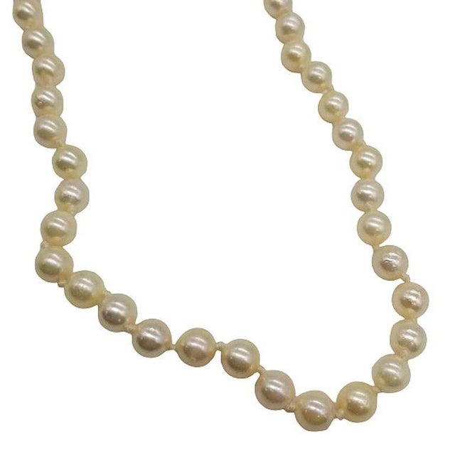 Mid-Century South Sea Roud Pearl Choker Necklace on Silk Cord W/ Silver Clasp For Sale - Image 4 of 7