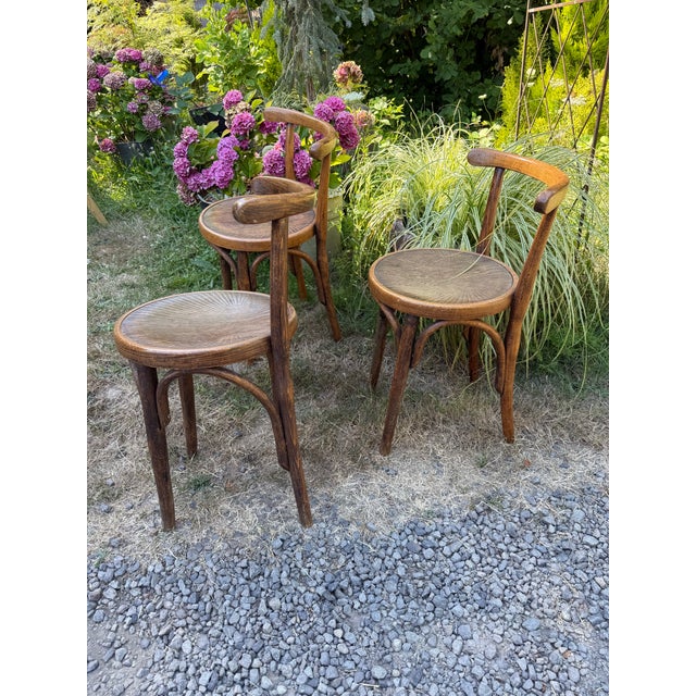Early 20th Century Thonet Style Cafe Bistro Chairs - Set of 3 For Sale In Portland, OR - Image 6 of 7