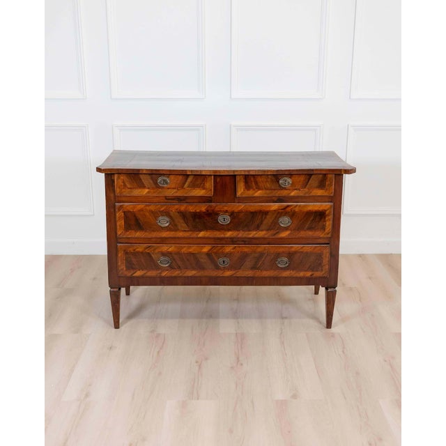 18th Century 18th Century Emilian Louis XVI Walnut Chest of Drawers For Sale - Image 5 of 8