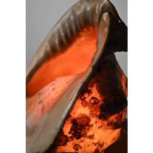 Vintage Shell Lamp For Sale - Image 9 of 10