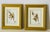 Original signed pair of artist sea shell composition installations framed gold tone painted frames. Great coastal decor...