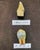1920s Japanese Dental Teaching Display with Anatomical Models, 1920s For Sale - Image 5 of 18