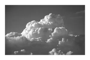 2021, Limited Edition Black and White Photo of Majest