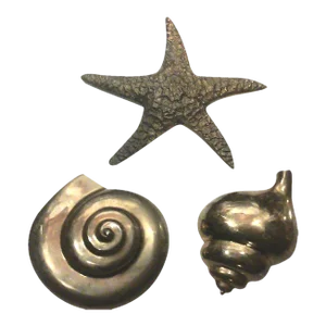 Vintage Solid Brass Shell Wall Hangings-Set of 3