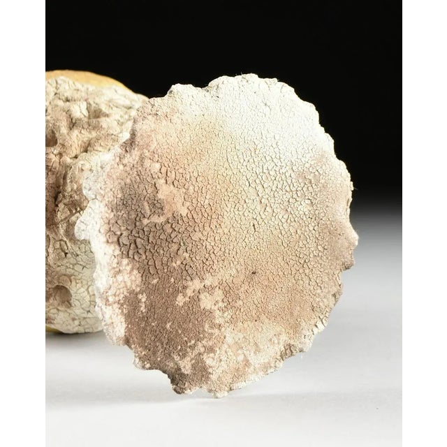 1980s Dennis W. Smith Glazed Ceramic Chalice For Sale - Image 5 of 6