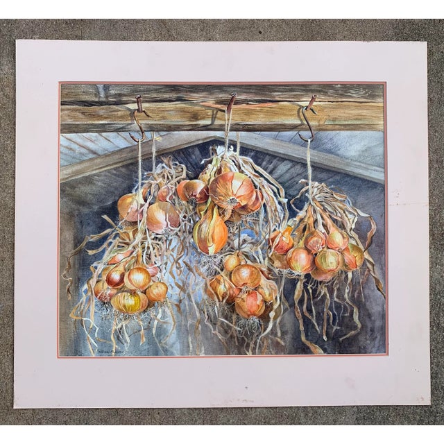 Paint Realistic Still Life Watercolor Painting of Onions by Gillean Whitaker, Framed For Sale - Image 7 of 7
