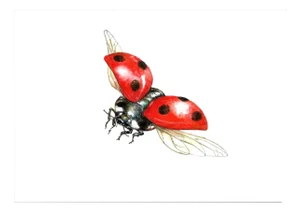 Juris Utāns, Flying Ladybug, 2000s, Mixed Media & Paper