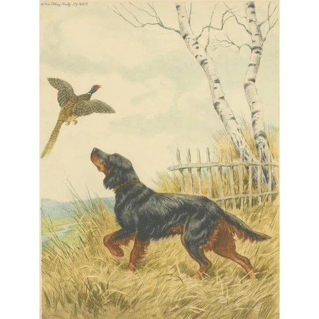 Paul Wood, Setter and Pheasant, 1930s, Lithograph on Paper For Sale - Image 6 of 9