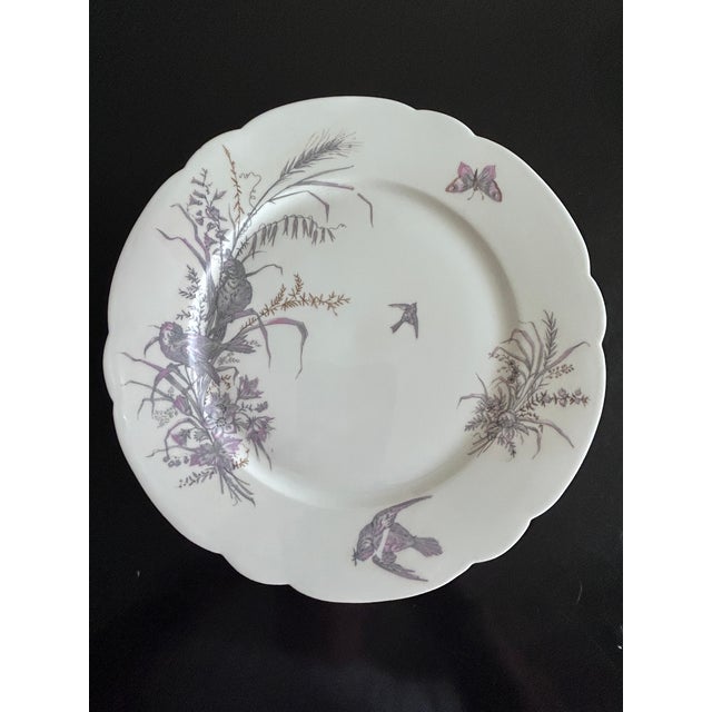 Porcelain Plates and Platter by Ch Pillivuyt & Cie, 1890s, Set of 8 For Sale - Image 6 of 17