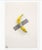 Maurizio Cattelan, Comedian, exhibition poster, 2019. Framed in a black box frame. 74.4 x 54.4cm (29.3 x 21.4 In) framed...