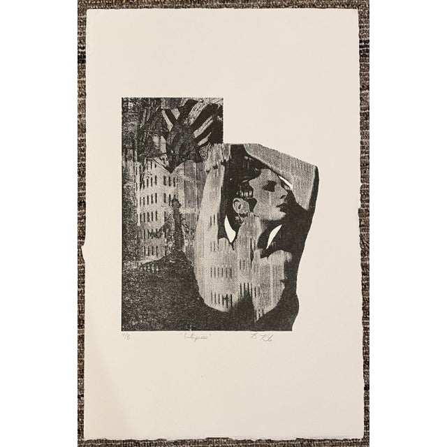 Enterprise Female Nude Lithograph by Kite For Sale - Image 4 of 4