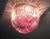 1990s Murano Ceiling Linght Chandeliers with Pink Triedri Murano Glasses, 1995, Set of 2 For Sale - Image 5 of 14