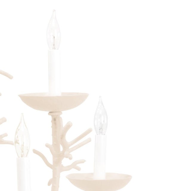 Contemporary Wildwood Select Sea Breeze Chandelier For Sale - Image 3 of 4