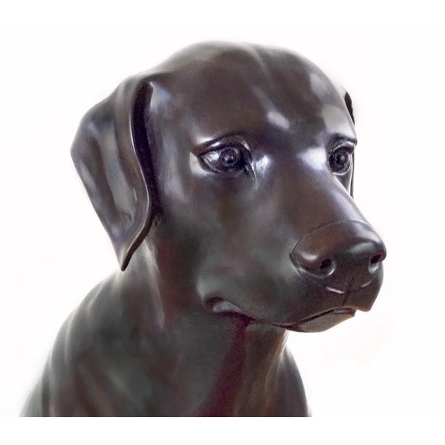 Bronze Life Size Chocolate Labrador, Lake Geneva Studio For Sale - Image 9 of 12