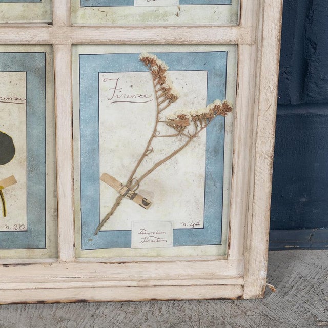 1980s Large Italian Oak Frame Containing Pressed Flowers and Herbs, 1980s For Sale - Image 5 of 16