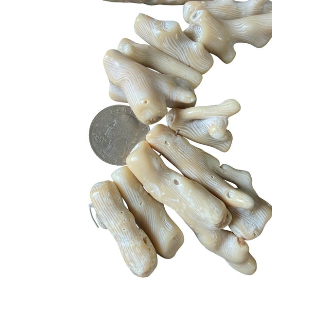 Vintage Natural African White Coral Trade Beads /Currency /Necklace 49 Pieces For Sale - Image 9 of 12