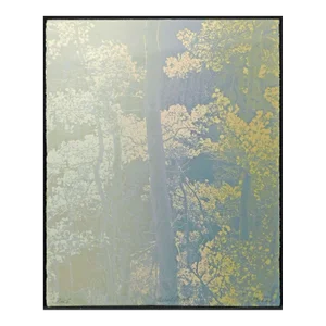 Paula Crane "Eos I" Signed Numbered Artwork Etching