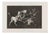 Francisco Goya, Rain of Bulls, 1877, Etching For Sale