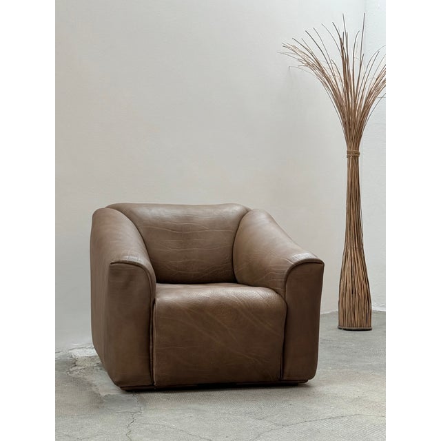 Vintage Swiss DS-47 Chair in Buffalo Leather from De Sede, 1970s For Sale - Image 10 of 12