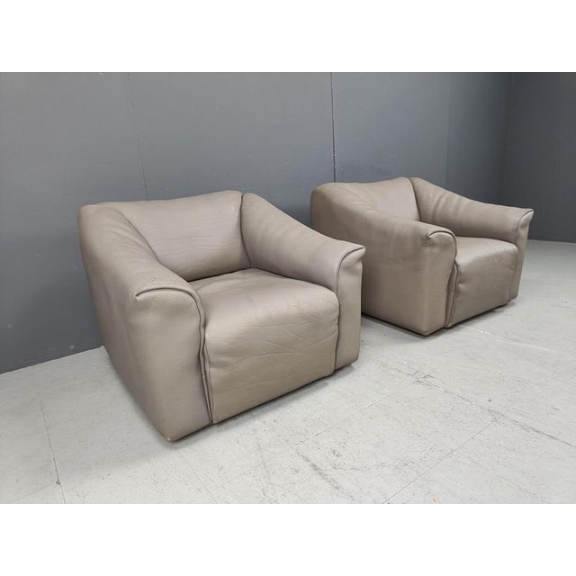 Gray DS47 Armchairs from de Sede, 1970s, Set of 2 For Sale - Image 8 of 12