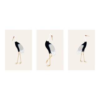 Japanese Crane Triptych, Set of 3 Art Prints, 40" X 60" For Sale