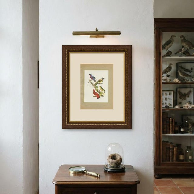 Descourtilz, Tanagers and Cotingas, Brazilian Bird Print, 1944, Paper For Sale - Image 10 of 12