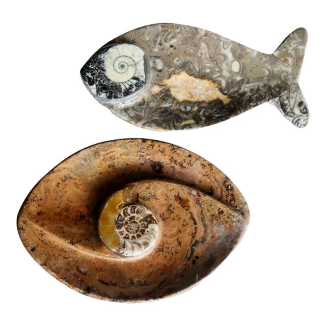 Natural Stone Fossil Fish and Shell Dishes, 2 Pieces For Sale