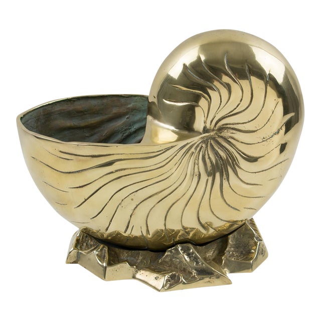Brass Nautilus Sea Shell Wine Cooler Bottle Holder Vase Planter