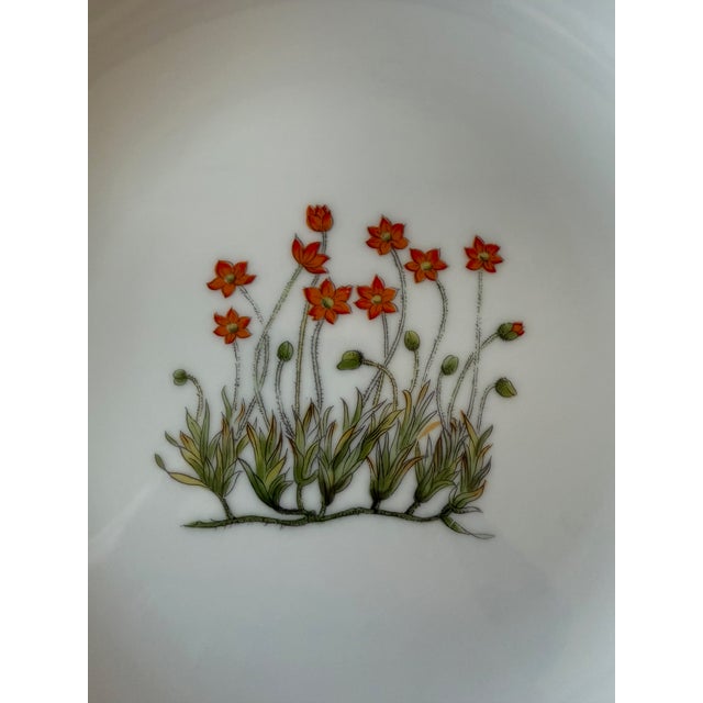 Set of 12 Vintage Takahashi Japan Lunch Plates With Botanical Designs For Sale - Image 12 of 17