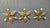 Iron Floral Ceiling Lamps, Spain, 1950s, Set of 3 For Sale - Image 10 of 10