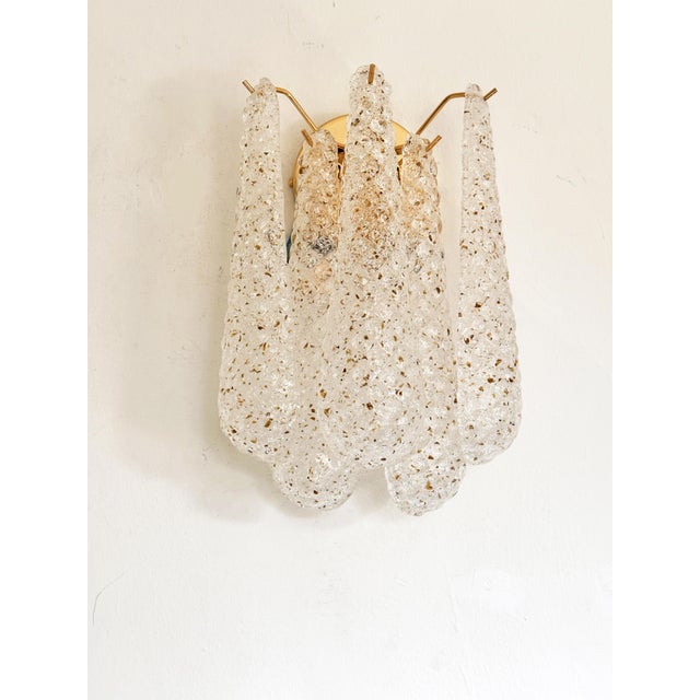 Murano Contemporary Mid-Century Modern "Conchiglie" Murano Glass Gold Wall Sconce-Set of Two For Sale - Image 4 of 10