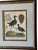 Early 19th Century John Pass After J Wilkes Birds Engraving, c.1806 For Sale - Image 5 of 8