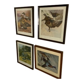 1917 Vintage DuPont Promotional Game Bird Framed Prints by Hunt & DeFeo - Set of 4 For Sale